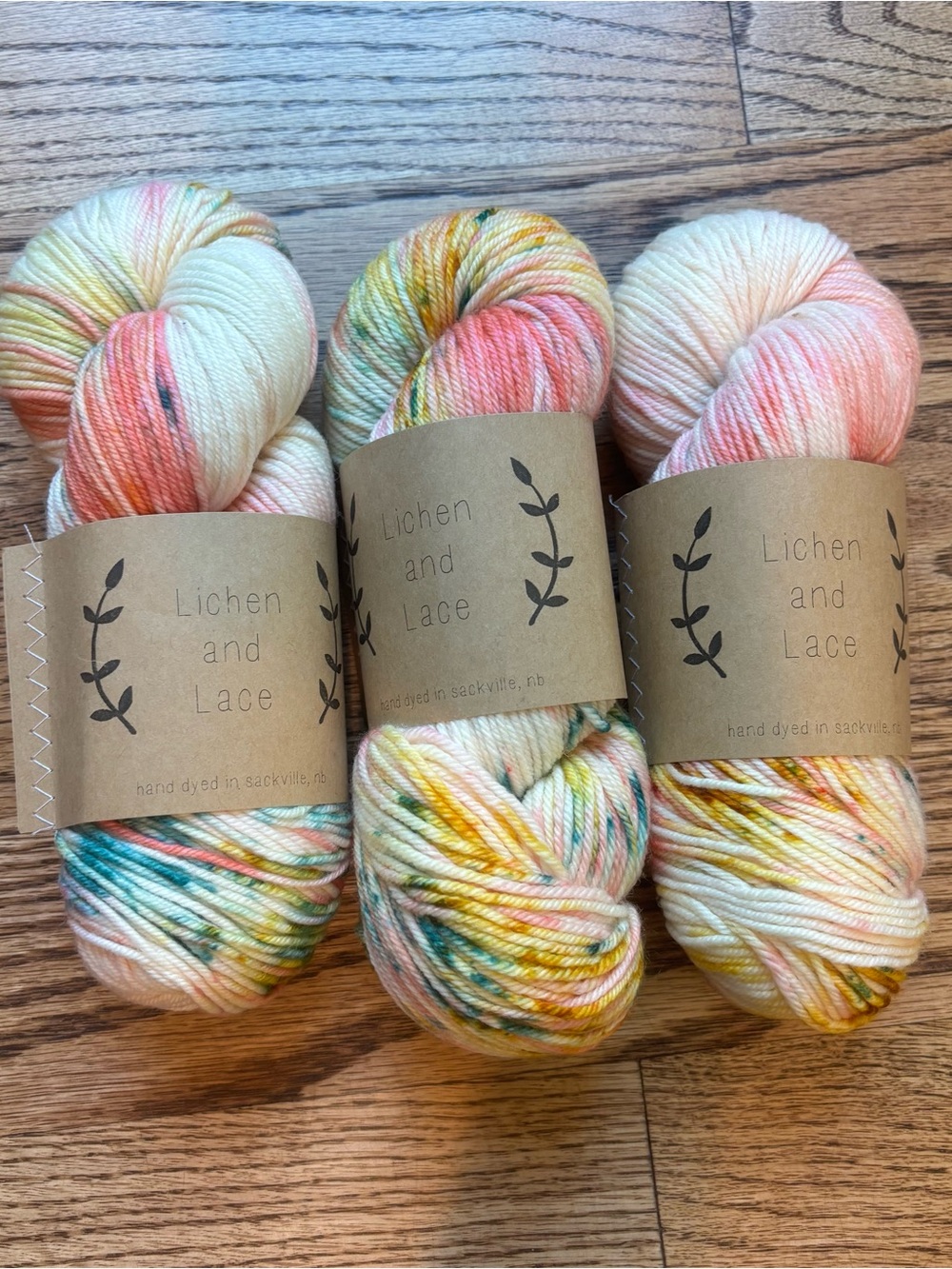 Lichen and Lace Yarn Lot of 3 Eco Worsted I See Seashells Pink Cream Green Knit